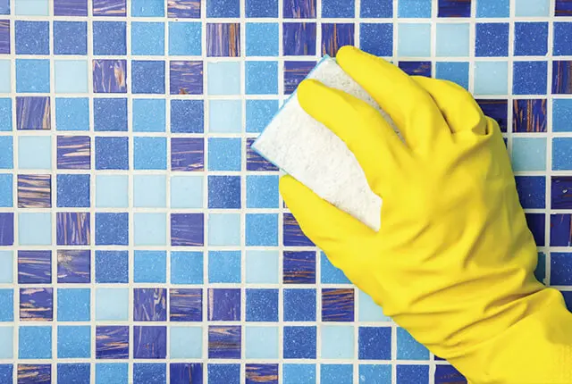 tile and grout cleaning belleville il