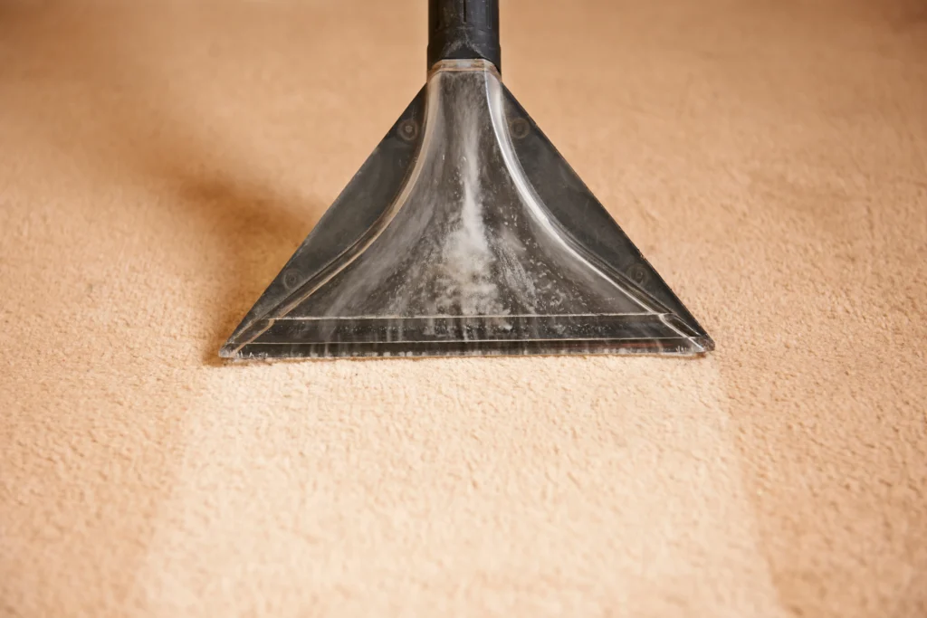how often to get carpet cleaned O'Fallon, IL