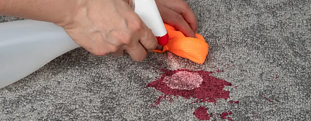 remove carpet stains belleville il