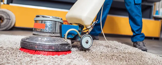 carpet odor removal belleville il