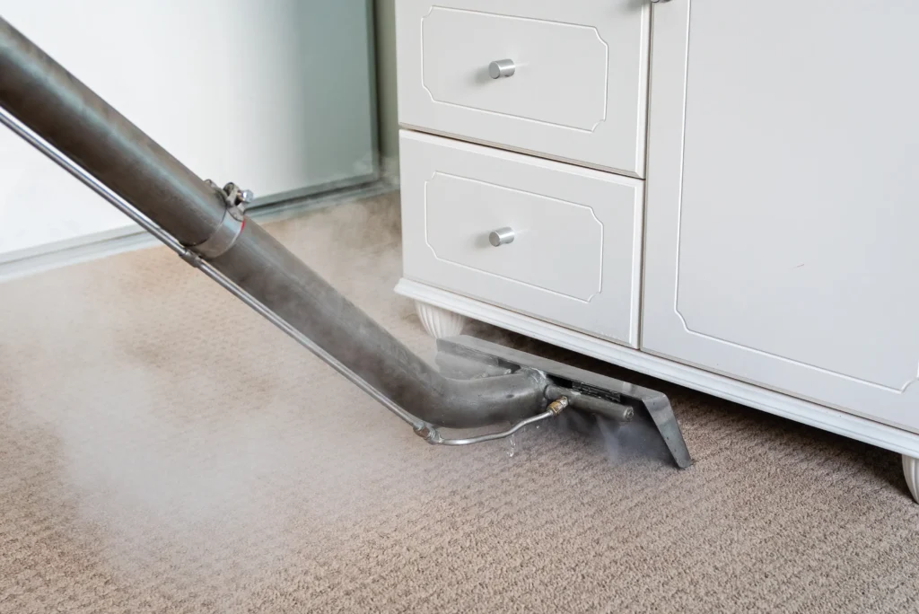 carpet steam cleaning to stop allergies in Belleville, IL home