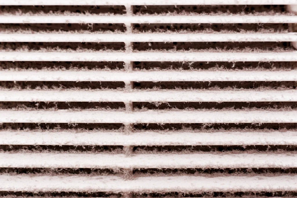 Fairview Heights, IL homeowners guide to types of mold in air ducts