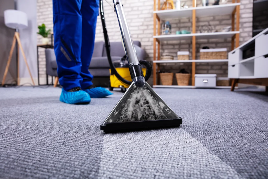 the importance of carpet cleaning Millstadt, IL