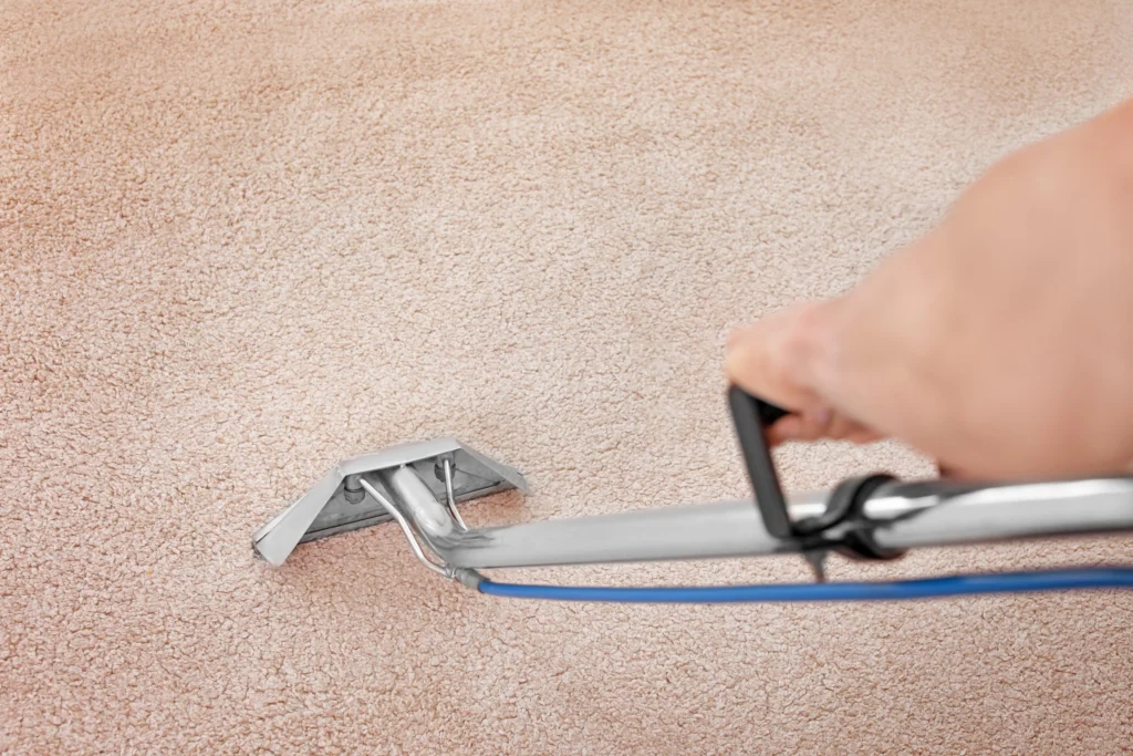 Millstadt, IL carpet cleaning services importance