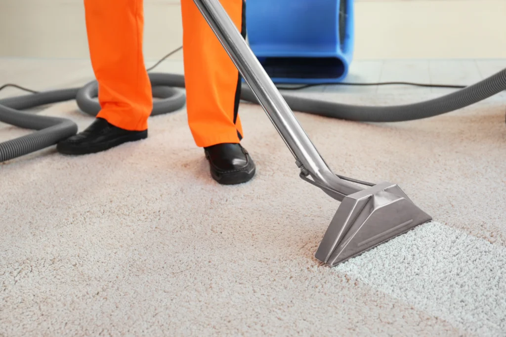 Smithton, IL professional carpet cleaning