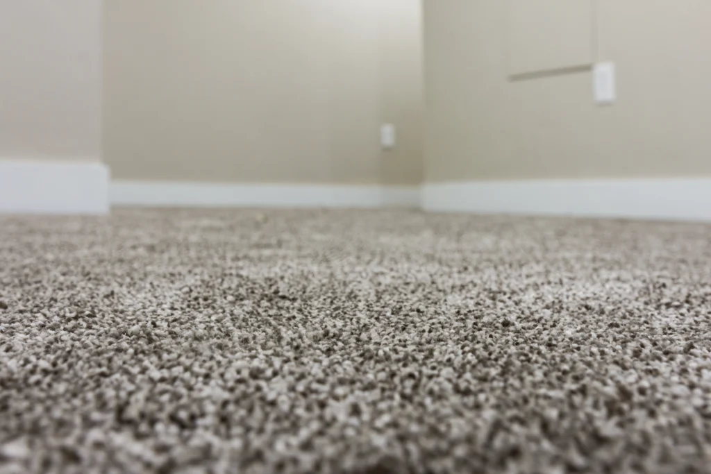 dents in your carpet and how to fix Belleville, IL