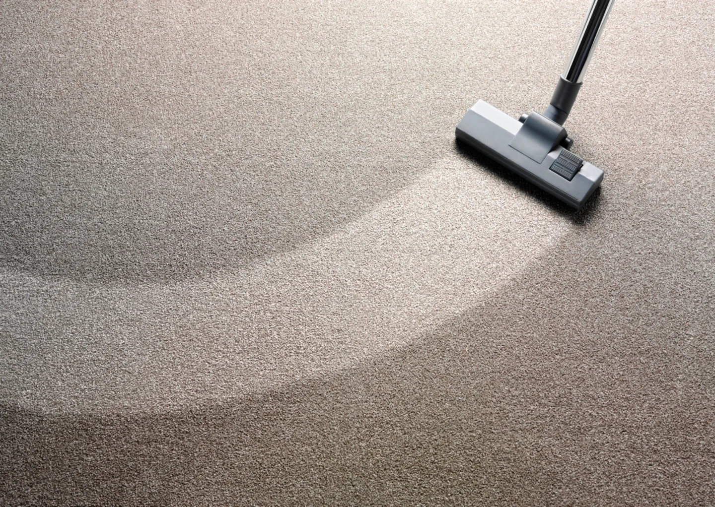 prevent carpet Mold and Mildew Damage O'Fallon, IL