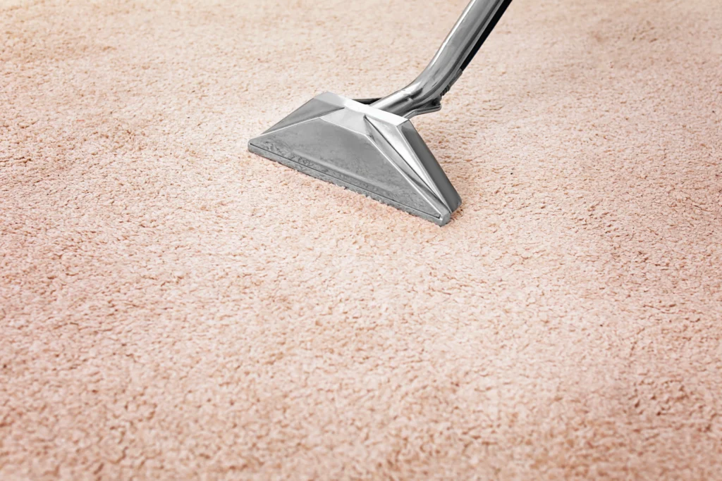 Lebanon, IL clean carpet in home with pets